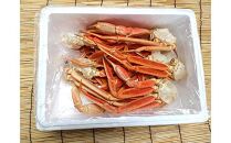 訳あり 北海道産 ずわいがに 足ボイル1kg 知床 羅臼産 ズワイガニ 蟹 かに カニ 肩 脚 海鮮  鍋 海産物 魚介 魚介類 正月 新鮮 海鮮 豪華 生産者 支援 応援