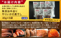 北海道知床羅臼産 無添加手造りやりいかの素干し 40g×5袋 生産者 支援 応援