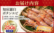 知床羅臼ボタンエビ(小) 250g 生産者 支援 応援