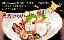 羅臼産たこ足カット真空 1kg タコ 刺身 おかず 酒の肴 北海道 魚介  海の幸 海産物 刺身 ごはん おかず おつまみ 酢の物 たこ焼き  カルパッチョ アヒージョ 国産 贈り物 ギフト 送料無料 知床 海の幸