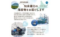 羅臼産 さばフィレー 一夜干し 1.2kg（300g×4パック） サバ 鯖 フィレ 切り身 切身 魚 魚介 海鮮 焼き魚 北海道