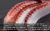 こんなでっかいタコみたことない(ボイル足1本) 北海道 海産物 魚介類 魚介 生産者 支援 応援