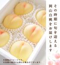 岡山県産　白桃6玉(1.5kg以上) 等級：ロイヤル 化粧箱入り