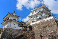 三重県伊賀市　日本旅行　地域限定旅行クーポン15,000円分