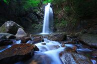 三重県伊賀市　日本旅行　地域限定旅行クーポン300,000円分