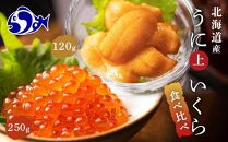 【先行/2026年1月より発送】知床羅臼町産うにといくらの食べ比べセット（うに【上】120g・いくら250g） 生産者 支援 応援