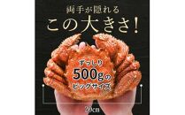 北海道 知床 羅臼産毛がに 500g×2尾 毛ガニ 海産物 魚介類 魚介 毛蟹 ケガニ 毛かに 毛カニ 蟹 カニ 海産物 魚介 海鮮丼 手巻き 寿司 正月 新鮮 海鮮 豪華 生産者 支援 応援