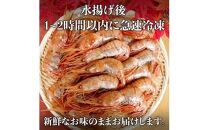 北海道産 知床羅臼産ボタンエビ 大サイズ300g ぼたんえび ぼたん海老 魚介類 北海道 魚介 海産物 冷凍 刺身 海鮮丼 生産者 支援 応援