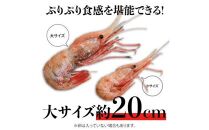 北海道産 知床羅臼産ボタンエビ 大サイズ300g ぼたんえび ぼたん海老 魚介類 北海道 魚介 海産物 冷凍 刺身 海鮮丼 生産者 支援 応援