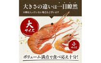 北海道産 知床羅臼産ボタンエビ 大サイズ600g（300g×2パック） ぼたんえび ぼたん海老 魚介類 北海道 魚介 海産物 冷凍 刺身 海鮮丼 生産者 支援 応援