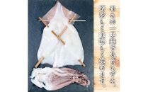 大人気！北海道知床羅臼産いかの開き干し(3枚セット) イカ 海産物 北海道 魚介類 冷凍 国産 生産者 支援 応援