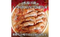 北海道産 知床羅臼産ボタンエビ 大サイズ900g（300g×3パック） ぼたんえび ぼたん海老 魚介類 北海道 魚介 海産物 冷凍 刺身 海鮮丼 生産者 支援 応援
