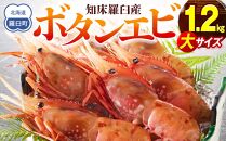 北海道産 知床羅臼産ボタンエビ 大サイズ1.2kg（300g×4パック） ぼたんえび ぼたん海老 魚介類 北海道 魚介 海産物 冷凍 刺身 海鮮丼 生産者 支援 応援