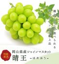 岡山県産　シャインマスカット『晴王』2房(1房480g以上) 化粧箱入り