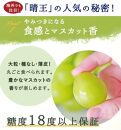 岡山県産　シャインマスカット『晴王』2房(1房480g以上) 化粧箱入り