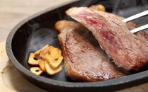紀州和華牛 熟成 食べ比べ ステーキ 3種盛り 300g