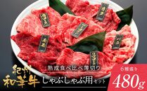 紀州和華牛 熟成 食べ比べ しゃぶしゃぶ用 セット 6種盛り 480g