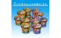 羅臼海洋深層水使用！ 海のバニラアイス・羅臼昆布バニラアイス 12個セット  アイスクリーム スイーツ デザート 夏 北海道 羅臼町 知床 生産者 支援 応援