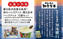 羅臼海洋深層水使用！ 海のバニラアイス・羅臼昆布バニラアイス 12個セット  アイスクリーム スイーツ デザート 夏 北海道 羅臼町 知床 生産者 支援 応援