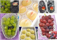 【全6回コース】2026年&nbsp;&nbsp;岡山県産　旬のフルーツ定期便