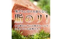 北海道 天然ぶり刺身3kg（250g ×12パック） 魚 海産物 魚介 魚介類 知床 しれとこ 羅臼 らうす 北海道 世界自然遺産 送料無料 人気 ブランド 天然 ブリ 鰤 刺身 海産 生産者 支援 応援