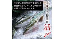 北海道 天然ぶり刺身3kg（250g ×12パック） 魚 海産物 魚介 魚介類 知床 しれとこ 羅臼 らうす 北海道 世界自然遺産 送料無料 人気 ブランド 天然 ブリ 鰤 刺身 海産 生産者 支援 応援