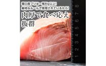 北海道 天然ぶり刺身2kg（250g ×8パック） 魚 海産物 魚介 魚介類 知床 しれとこ 羅臼 らうす 北海道 世界自然遺産 送料無料 人気 ブランド 天然 ブリ 鰤 刺身 海産 生産者 支援 応援