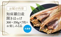 北海道　知床羅臼(らうす)産　開きほっけ　7枚セット＋お楽しみ1品 生産者 支援 応援