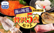 北海道知床羅臼産 海の味覚贅沢 5 種セット 開きほっけ イカ一夜干し 冷凍ほたて ブリ刺身柵 正油いくら 魚 海産物 魚介 魚介類 生産者 支援 応援