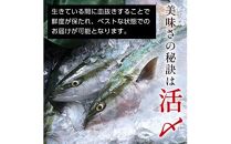 数量限定 増量中  天然ぶり刺身 1kg (250g×4パック)  北海道 知床羅臼産 魚 海産物 魚介 魚介類 ブリ 鰤 刺身 ご飯のお供 冷凍 生産者 支援 応援