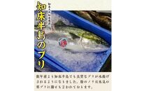 数量限定 増量中  天然ぶり刺身 1kg (250g×4パック)  北海道 知床羅臼産 魚 海産物 魚介 魚介類 ブリ 鰤 刺身 ご飯のお供 冷凍 生産者 支援 応援