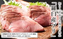 【2024年12月発送】【先行予約】親子漬け・ぶり刺身セット500g（各250g×1）小分け いくら イクラ 秋鮭 さけ サケ 醤油漬け しょうゆ漬け ブリ 鰤 北海道 国産 羅臼 海鮮 魚介 ご飯のお供 生産者 支援 応援