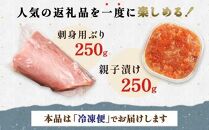 【2024年12月発送】【先行予約】親子漬け・ぶり刺身セット500g（各250g×1）小分け いくら イクラ 秋鮭 さけ サケ 醤油漬け しょうゆ漬け ブリ 鰤 北海道 国産 羅臼 海鮮 魚介 ご飯のお供 生産者 支援 応援