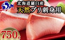 北海道 知床羅臼産 天然ぶり刺身 750g（250g ×3パック） 魚 海産物 魚介 魚介類 ブリ 鰤 刺身 ご飯のお供 冷凍 生産者 支援 応援