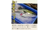 北海道 知床羅臼産 天然ぶり刺身 750g（250g ×3パック） 魚 海産物 魚介 魚介類 ブリ 鰤 刺身 ご飯のお供 冷凍 生産者 支援 応援