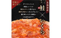 【2024年7月発送】知床羅臼産 時鮭（ときしらず）の親子漬け・醤油いくらセット（計500g）イクラ しょうゆ漬け 秋サケ さけ 海鮮 魚介 北海道 詰め合わせ 生産者 支援 応援