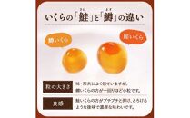 【2024年9月発送】知床羅臼産 時鮭（ときしらず）の親子漬け・醤油いくらセット（計500g）イクラ しょうゆ漬け 秋サケ さけ 海鮮 魚介 北海道 詰め合わせ 生産者 支援 応援