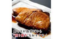 北海道 知床羅臼産 天然ぶり刺身 500g (250g×2パック) 魚 海産物 魚介 魚介類 ブリ 鰤 刺身 ご飯のお供 冷凍 生産者 支援 応援