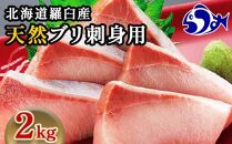 北海道 知床羅臼産 天然ぶり刺身 2kg (250g×8パック) 魚 海産物 魚介 魚介類 ブリ 鰤 刺身 ご飯のお供 冷凍 生産者 支援 応援