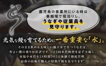 【土用丑の日】鹿児島県産うなぎ　特大蒲焼き1尾　180g以上
