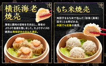 中華点心詰合せF（6種&nbsp;計33個）＜横浜中華街&nbsp;皇朝＞｜肉まん&nbsp;シューマイ&nbsp;シウマイ&nbsp;中華&nbsp;中華料理&nbsp;横浜中華街&nbsp;人気中華&nbsp;おすすめ中華&nbsp;点心&nbsp;点心セット&nbsp;点心詰合せ&nbsp;点心おすすめ&nbsp;飲茶&nbsp;飲茶セット&nbsp;お取り寄せ&nbsp;送料無料&nbsp;神奈川県&nbsp;横浜市