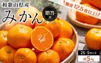 和歌山県産 糖度 12.5度以上 秀品 贈答用 みかん 5kg 2S・S サイズ混合 【NY3】