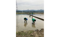 長岡農業高校生が育てた米で醸したお酒&nbsp;720ml×1本　新潟　新潟県　大吟醸　日本酒