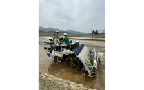 長岡農業高校生が育てた米で醸したお酒&nbsp;720ml×1本　新潟　新潟県　大吟醸　日本酒