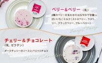 HOLIDAY ICE CREAM STORE CLASSICS　クラフトアイスクリーム 132ml×6個セット