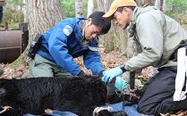 知床財団オリジナル タオルとハンカチのセット 生産者 支援 応援