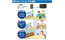 ＡＭ／ＦＭスピーカーラジオ　ER-SP39F