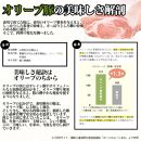 【ふるさと納税】ボンレスハム＆ポークローフ2種セット香川県産オリーブ豚使用