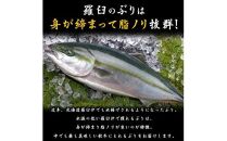 ぶり三昧(1)(4分の1尾分) 生産者 支援 応援