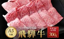 【全３回定期便】飛騨牛 A5 赤身 全3回 900g（焼肉 すき焼き ステーキ）【飛騨牛 和牛ブランド 飛騨牛 黒毛和牛 飛騨牛 岐阜 大野町 飛騨牛】